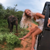 imperial safari jeep tour 