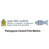 Paliyagoda Central Fish Market Complex