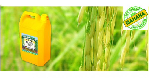 Agro Solutions Asia (Pvt) Ltd-cover-image